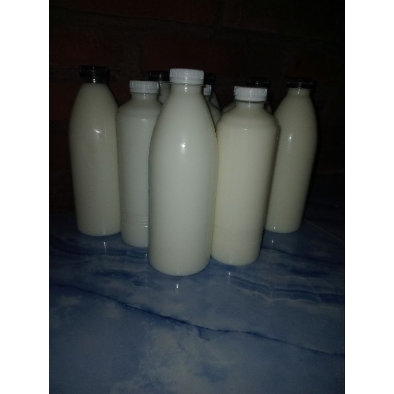 

Susu kuda Liar Sumbawa Asli fresh/segar