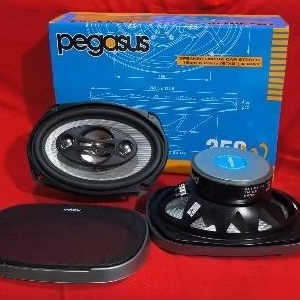 Speaker Oval Pegasus PG-6974 - Oval Pegasus Magnet Besar - Suara Top