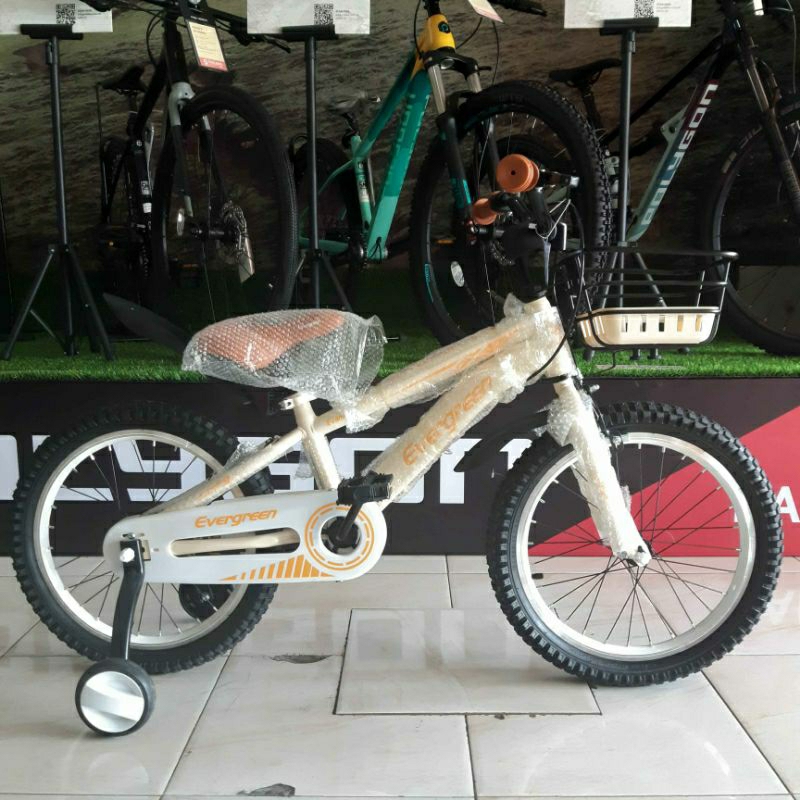 Evergreen 18" Sepeda BMX Evans