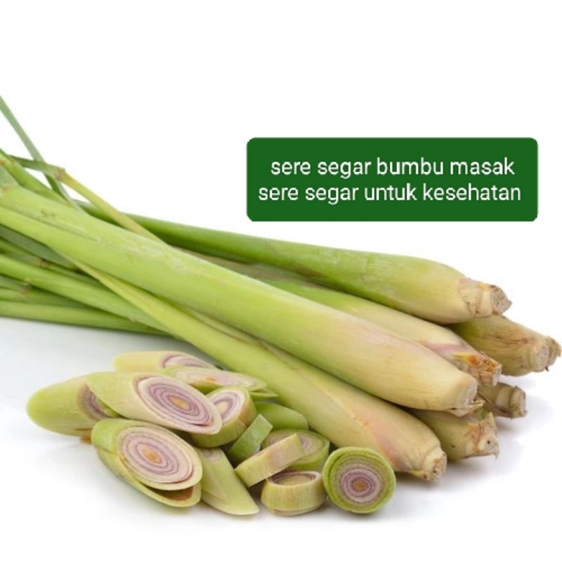 

sere segar bumbu masak 1kg