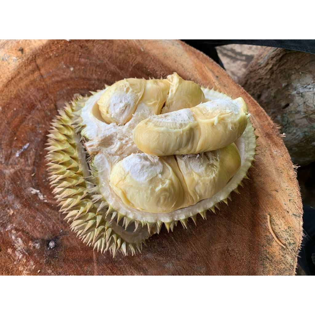 

pket hemat 100k dapat 3 buah