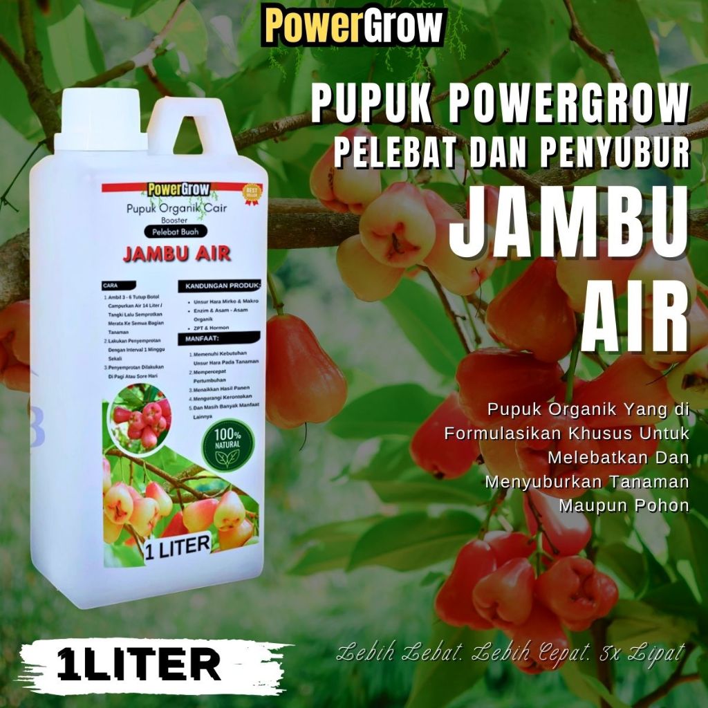 Pupuk Jambu AIr Pelebat Penyubur Buah Booster Jambu Air Perangsang Pembunngaan Dan Pembuahan