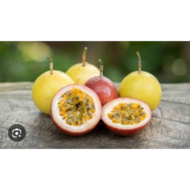 

buah markisa kuning segar