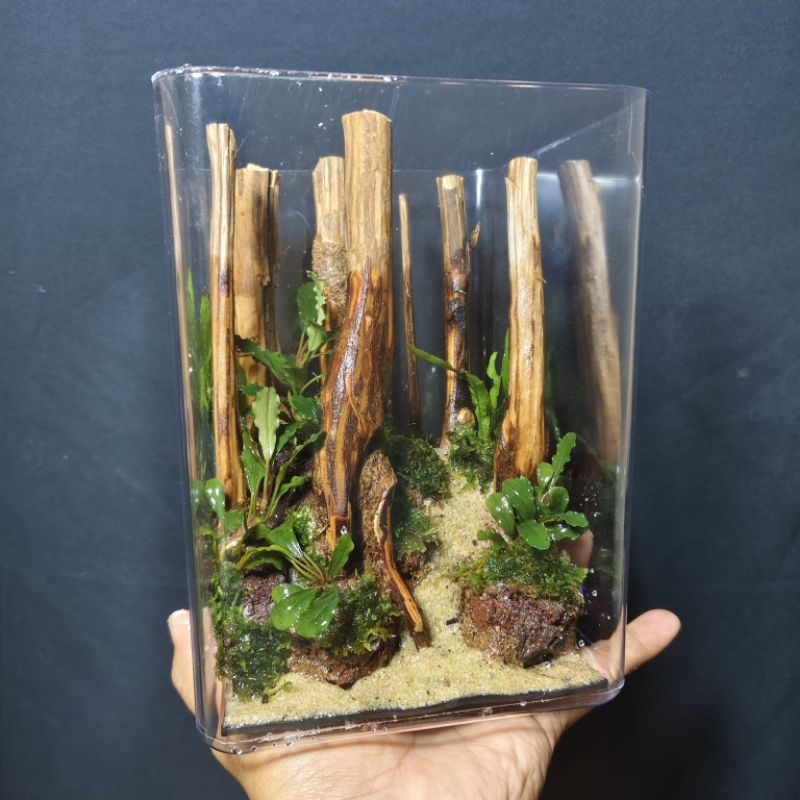 Aquascape Mini Fullset tema Hutan ukuran 15*15*20 cm (4 liter)