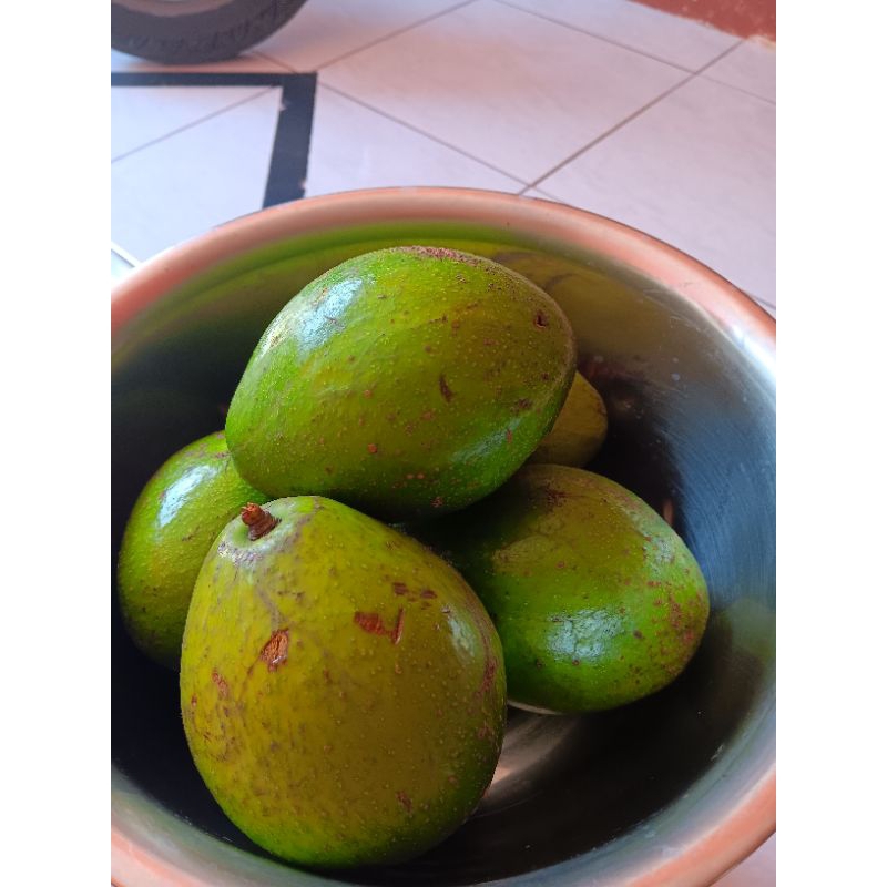

Alpukat Mentega 1kg