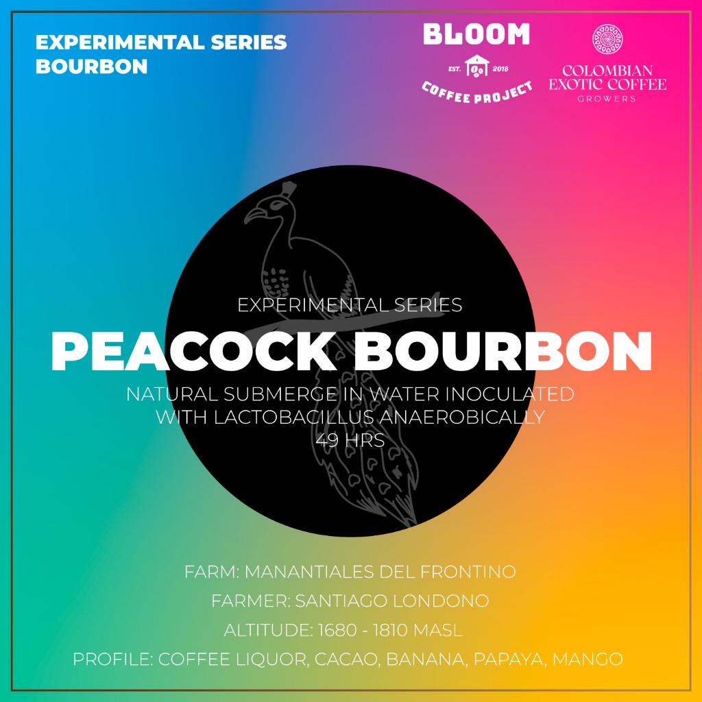 

Biji Kopi Colombia CEC Peacock Bourbon Experimental Series