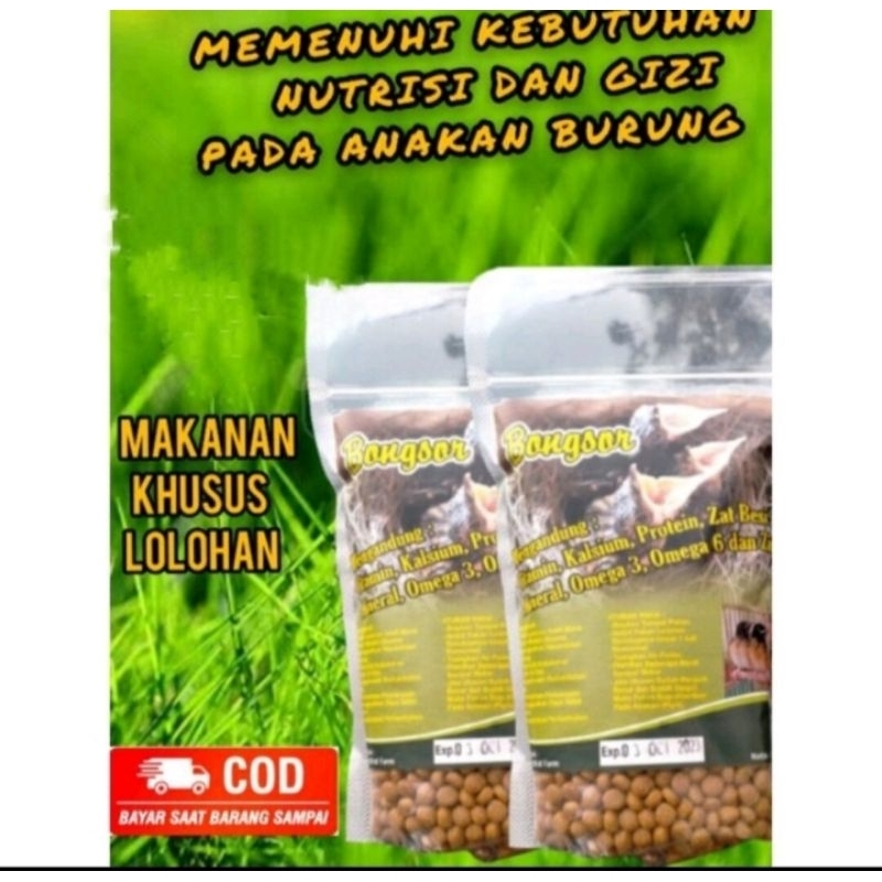 bongsor Pur lolohan anakan burung bubur bayi murai Kacer jalak pentet cendet wambi Poksay dll