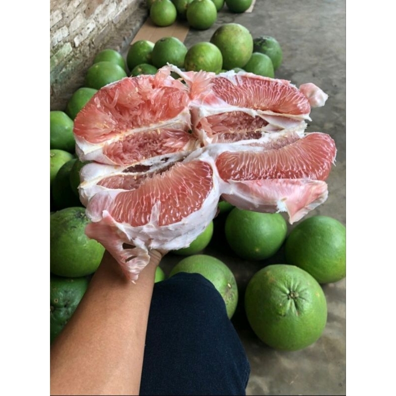 

Jeruk pamelo super jumbo berat 2kg manis bergaransi