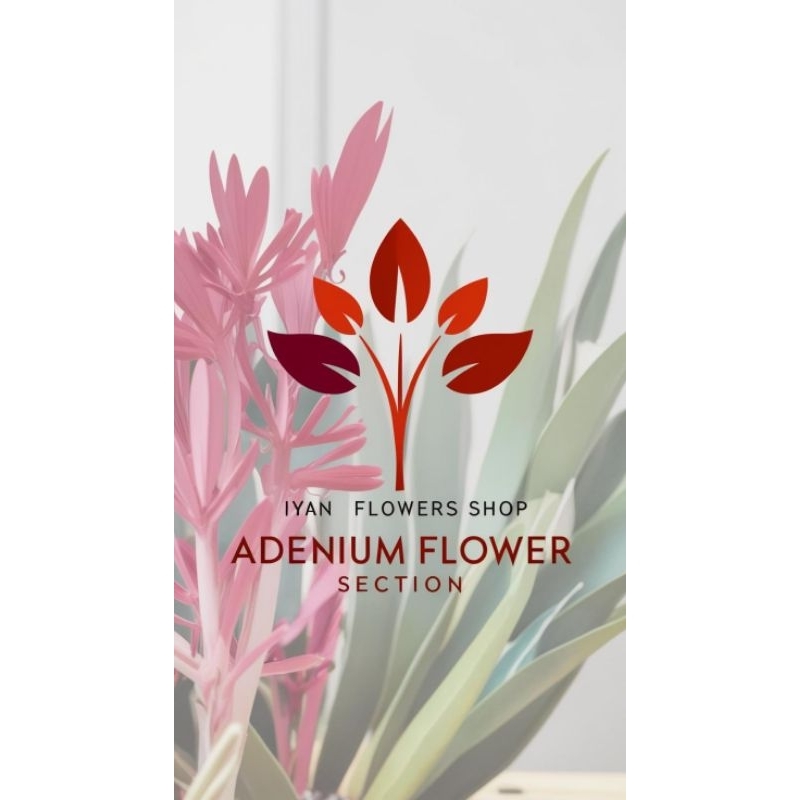 Adenium Grafting