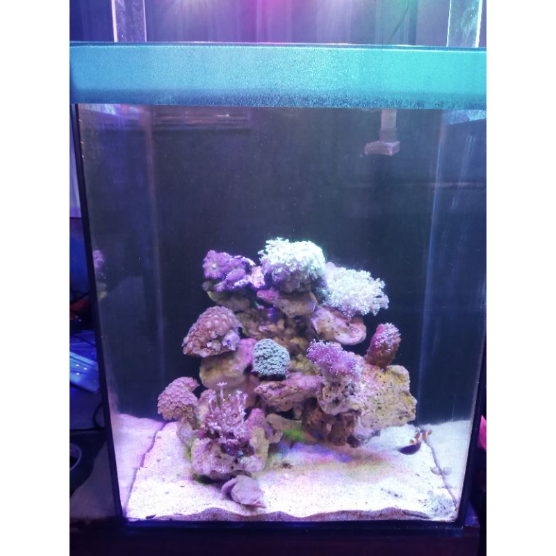 Aquarium laut fullset 40x40x50