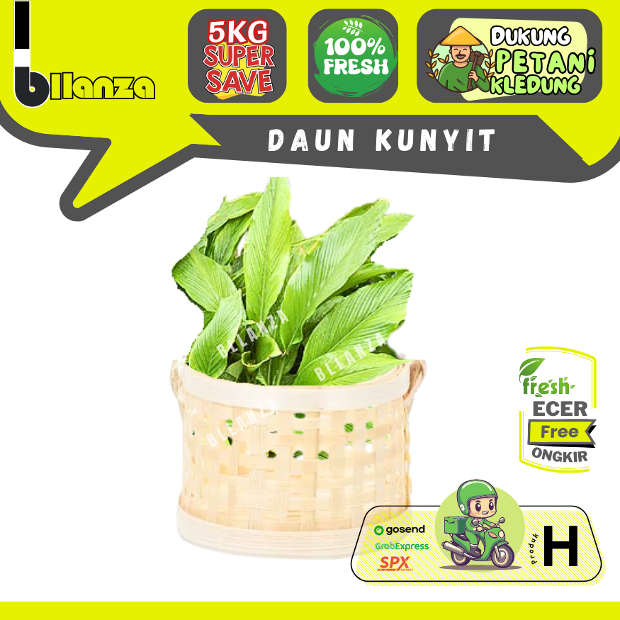 

Bllanza | Daun Kunyit Segar — Sahabat Makan Sayur ECER (H)