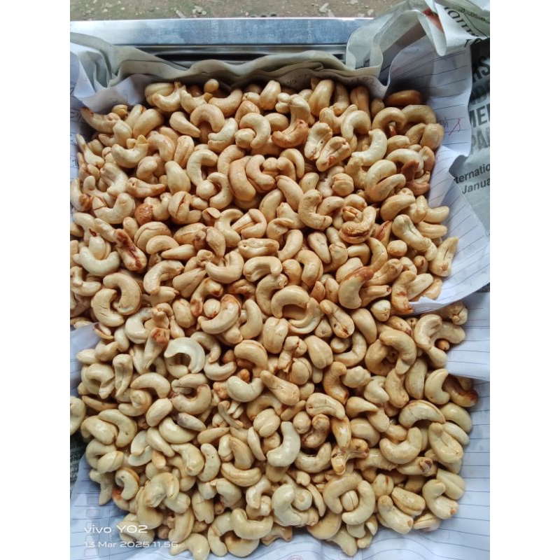

kacang mete wonogiri