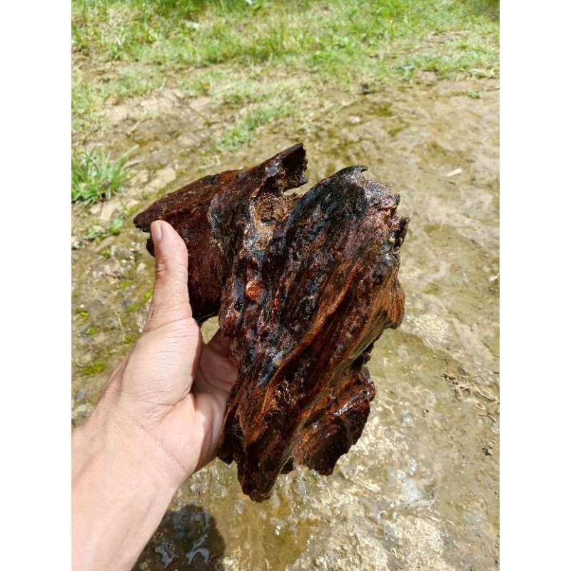 Kayu rentek,size L ,kayu rentek tekstur,kayu rentek dekorasi aquarium acuascape,tenggelam