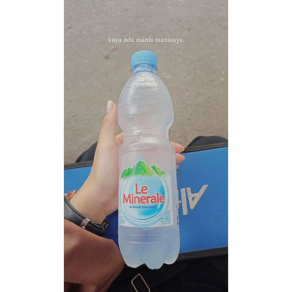 

LE MINERAL SEGAR MENYEGARKAN