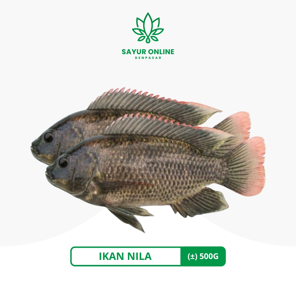 

Ikan Nila 500gr Sudah Di Bersihkan - Sayur Online Denpasar