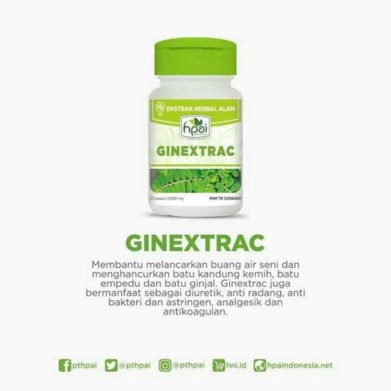 GINEXTRAC HNI HPAI | OBAT HERBAL | ALAMI DAN SEHAT