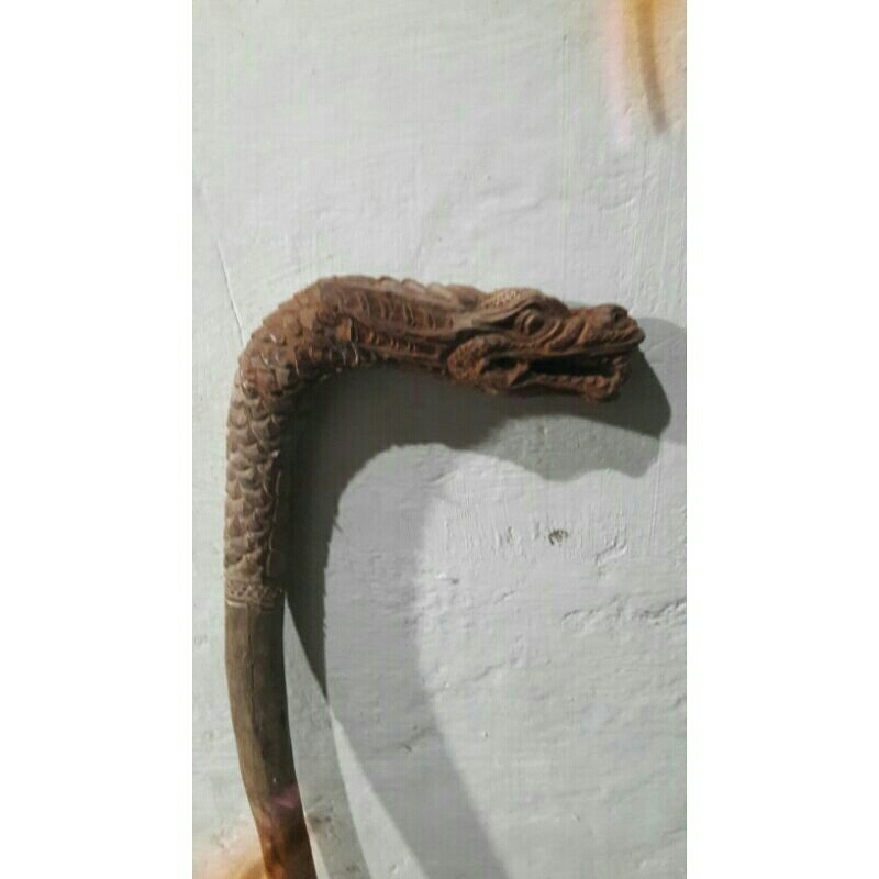 tongkat jalan istimewah kayu stigi laut ukir naga