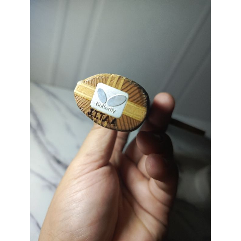 butterfly AI fukuhara kupu kupu kecil