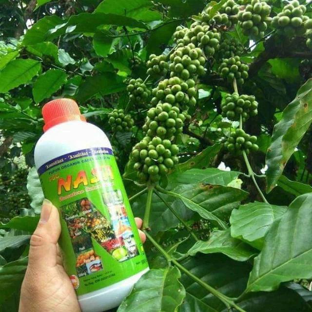 Pupuk Poc Nasa 1Liter , Pupuk Organik Cair, Pupuk Daun Pupuk Segala Jenis Tanaman, Pupuk PertaniaN