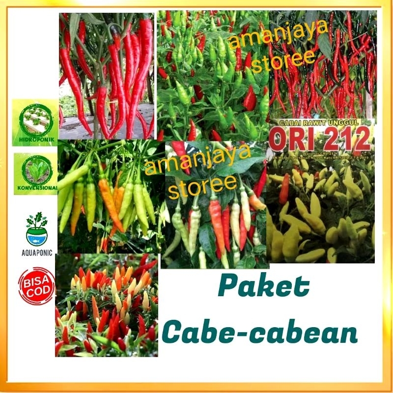 Paket 7 macam Cabe cabean konsumsi + BONUS polibag semai, pupuk npk serta benih lainnya