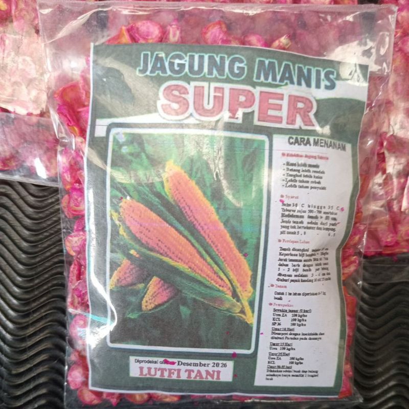 

jagung manis lokal 80gram produksi Lutfi Tani Bogor