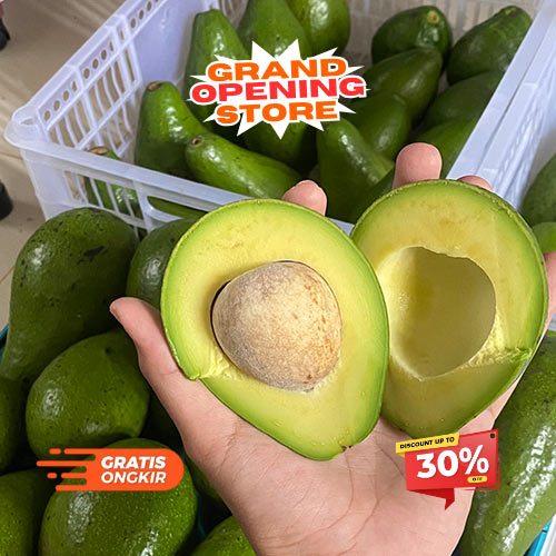

Alpukat Super Fresh Harga Grosir Dijamin Segar