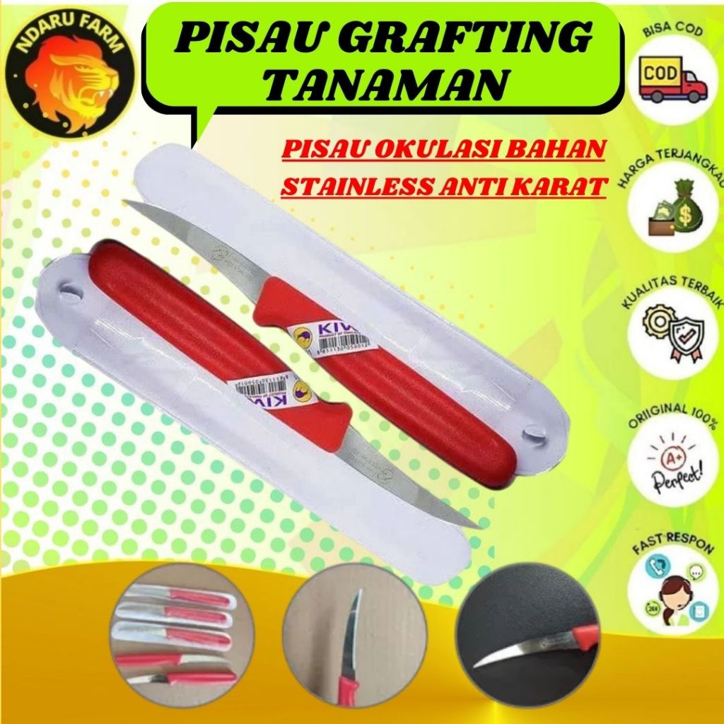 Pisau Tanaman Grafting Okulasi Alat Potong Dahan Bahan Stainless Steel Premium NDARUFARM