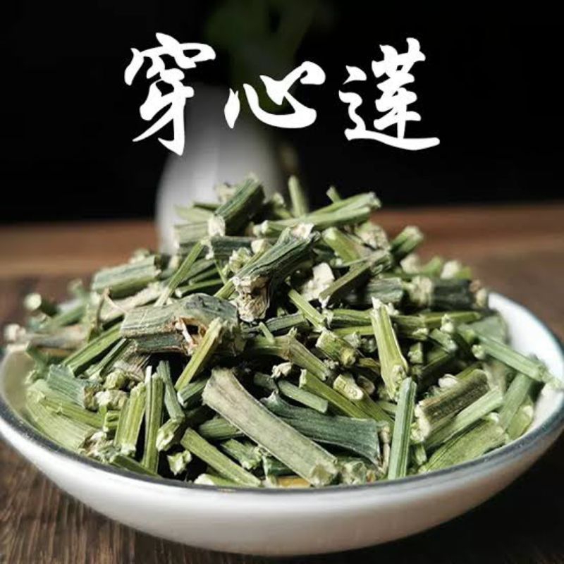 

Chuan Xin Lian Cao/穿心莲草/Andrographis paniculata/Sambiloto