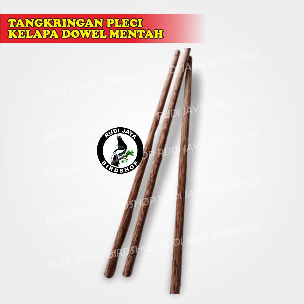TANGKRINGAN KONIN PLECI KOLIBRI DOWEL KAYU KELAPA MENTAH PLANGKRINGAN BURUNG KECIL GLATIK SOGON