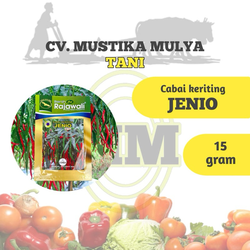 BENIH CABE KRITING ( JENIO ) RAJAWALI