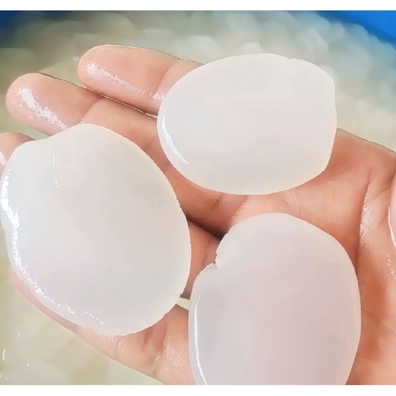 

Kolang Kaling super jumbo/Caruluk fresh 1kg