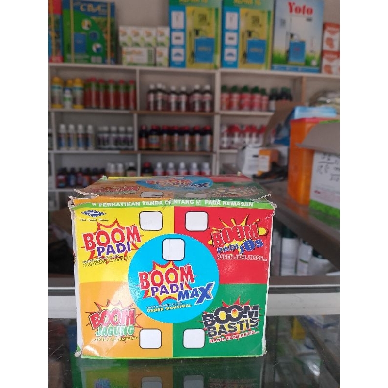 BOOM PADI cap kapal Terbang