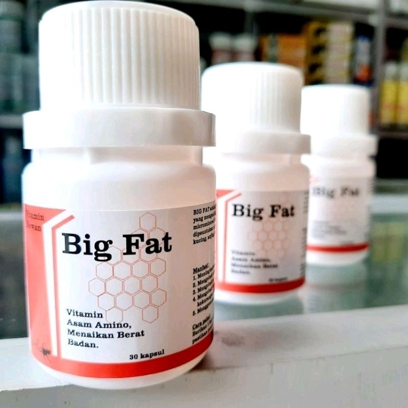 Big Fat 30 kapsul vitamin hewan Kucing, anjing & kelinci by PetLab. Menaikkan berat badan. penggemuk