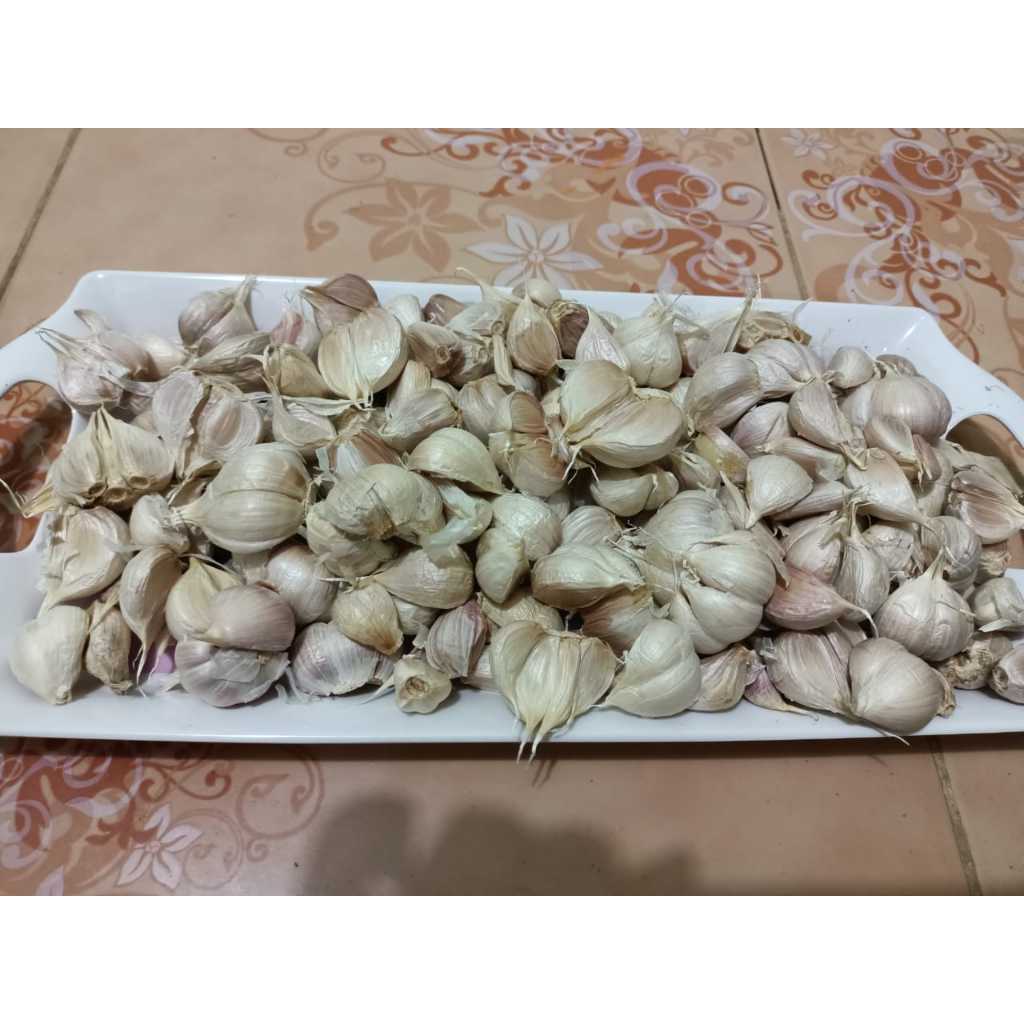 

Bawang putih kating