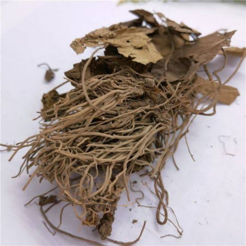 

Bei Xi Xin/ 北细辛/ Herba Asari