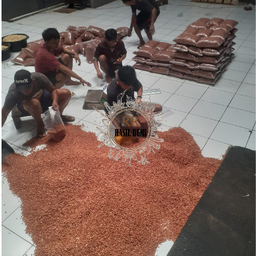 

DEB KACANG TANAH BALI SUPER
