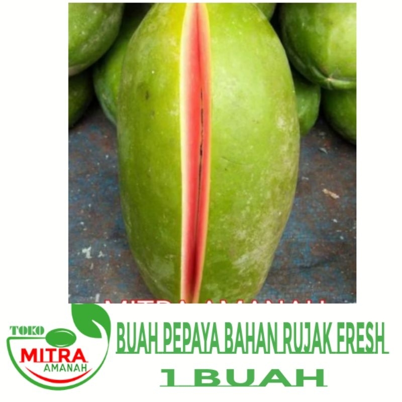 

BUAH PEPAYA BAHAN RUJAK 1BUAH