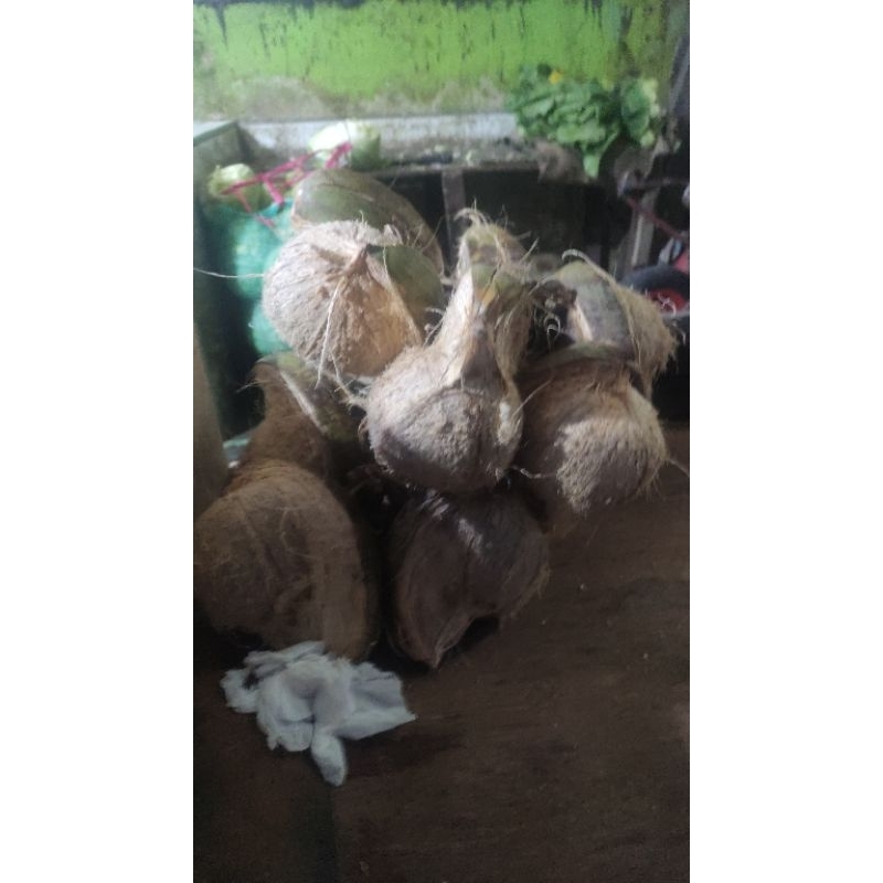 

Santan kelapa Asli 3 ons