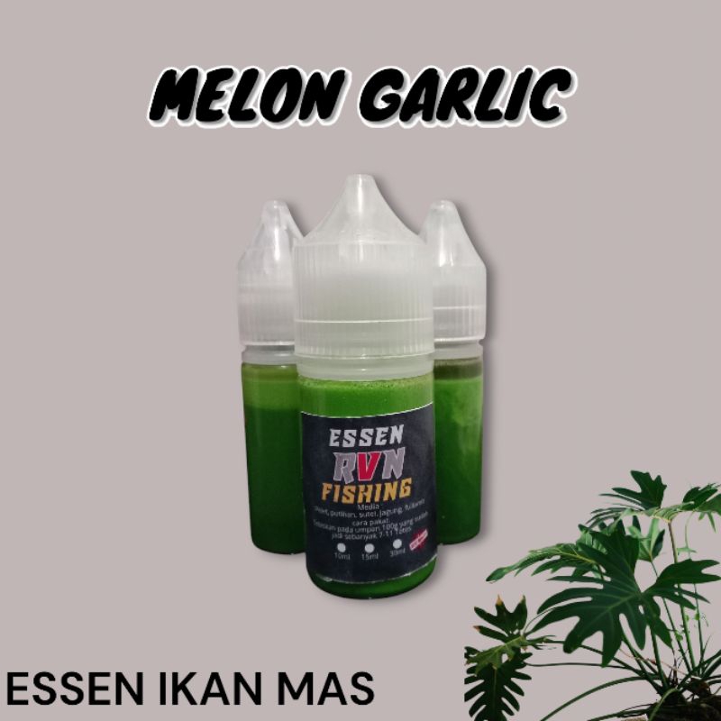 Essen MELON GARLIC ikan mas