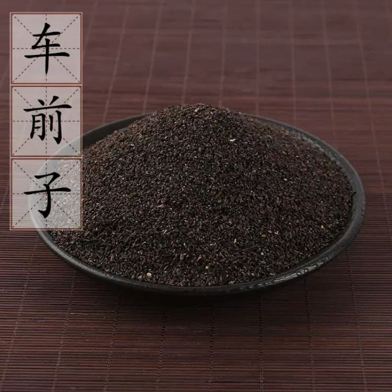 

Che Qian Zi/ 车前子/ Plantago Seed/ Plantaginis semen
