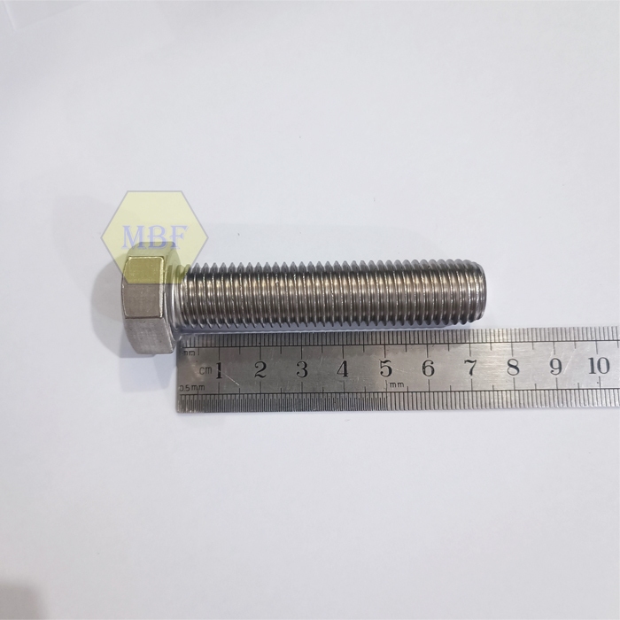 M16 x 70 Baut Hexagon Stainless 304 M16x70