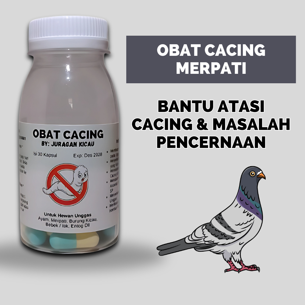 Obat Cacing Merpati Untuk Mengobati Cacingan Mencret Kurus dan Masalah Pencernaan