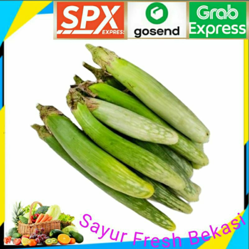 

Terong Medan 250g.