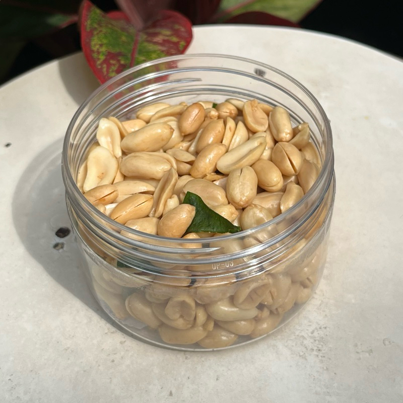 

Kacang Daun Jeruk