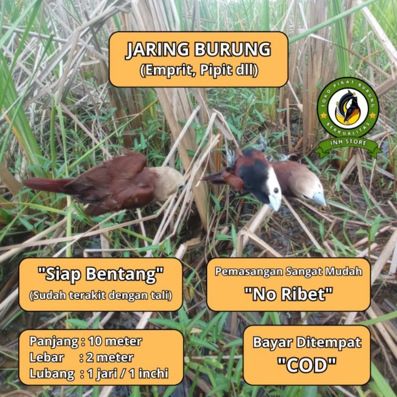 JARING BURUNG EMPRIT HAJI JARING BURUNG KECIL JARING BURUNG SAWAH JARING BURUNG PIPIT PEKING MURAH J