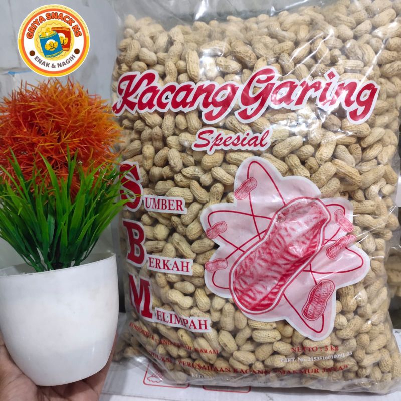 

GS_NS - KACANG KULIT/ KACANG OVEN/KACANG TANAH/ CAMILAN SEHAT