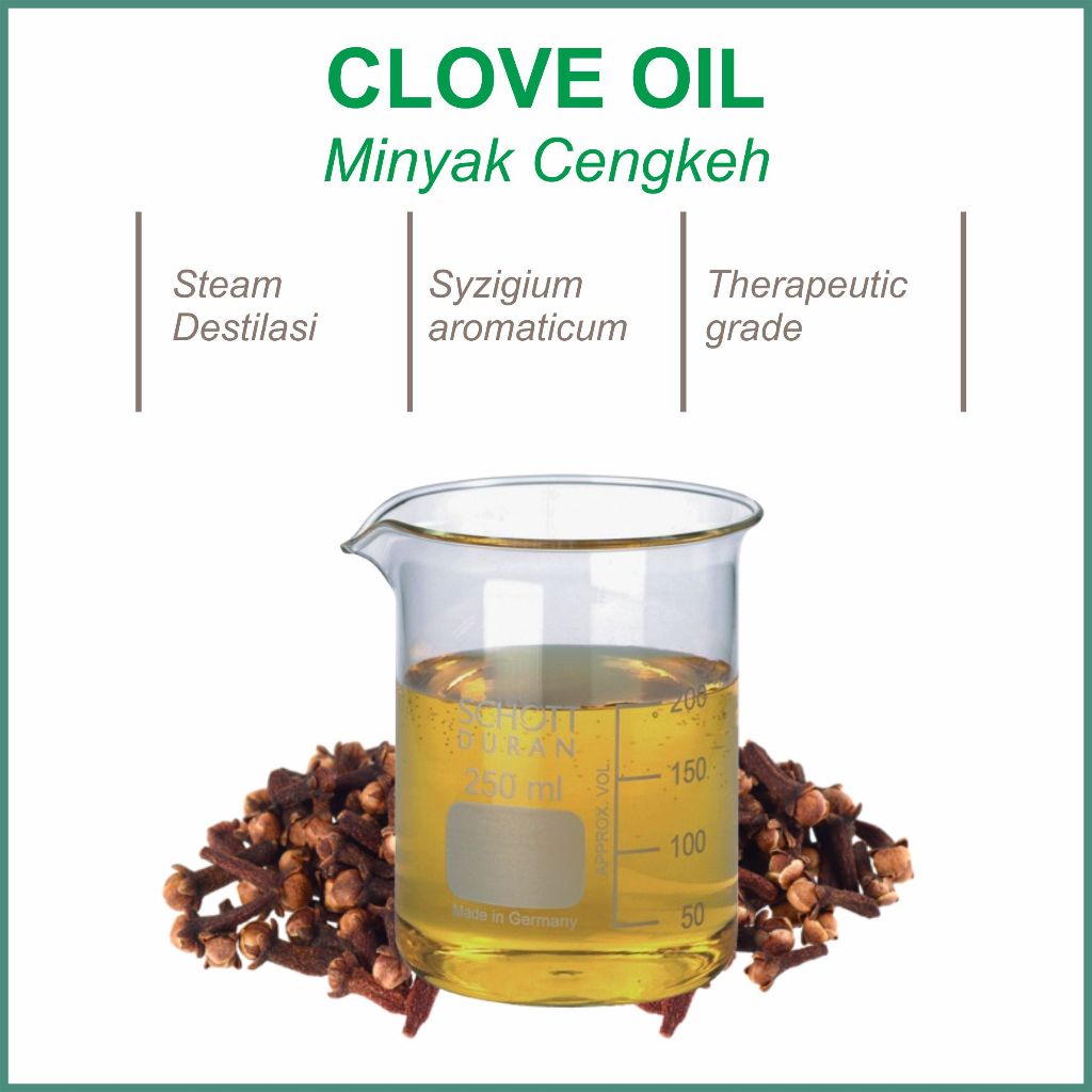 

minyak daun cengkeh murni clove leaf oill minyak daun cengkeh 10ml 50ml 30ml 100ml