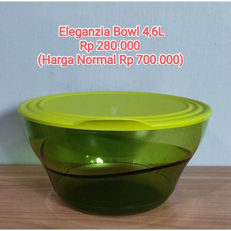 Eleganzia Bowl 4,6L