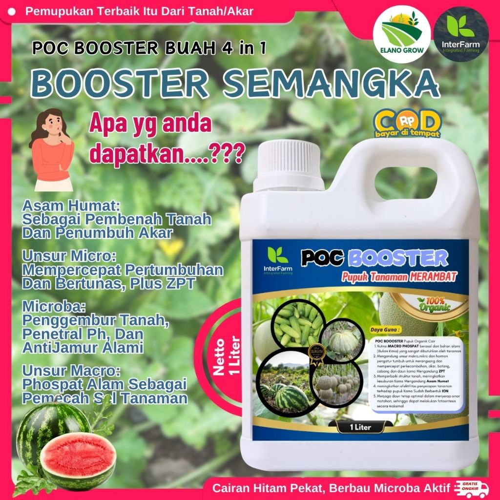 Pupuk pelebat buah semangka ,Pupuk tanaman semangka, Pupuk cair organik untuk semangka ELANOGROW