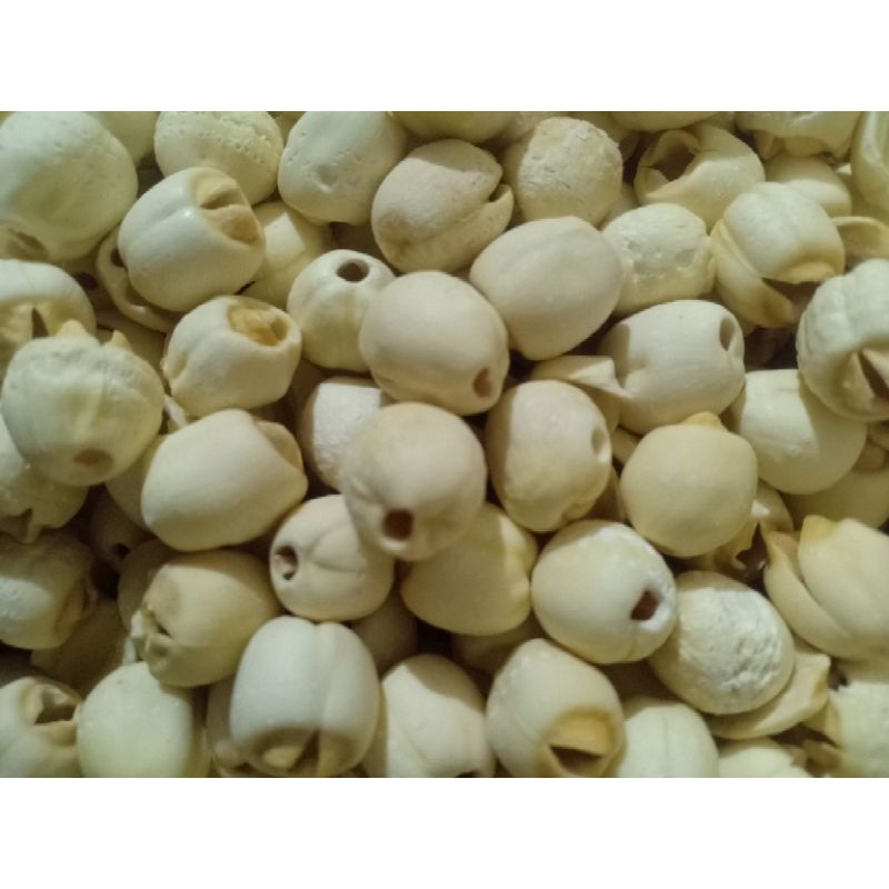 

Biji Teratai/Lotusseed/Lienzi 250 Gr